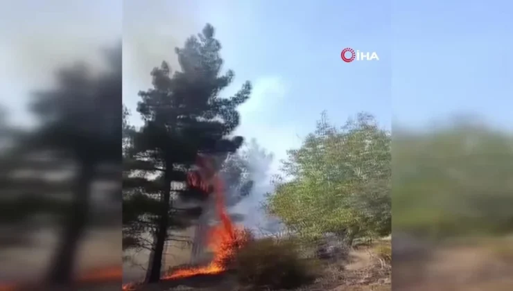 Mut’ta orman yangını büyümeden söndürüldü