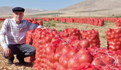 Karaman’da Kuru Soğan Hasadı Başladı