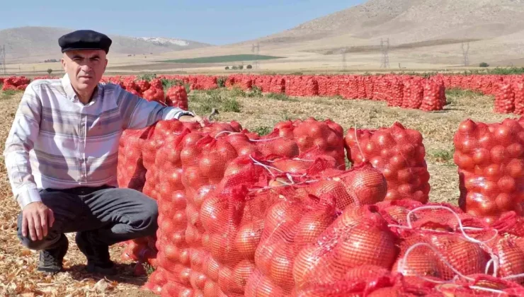 Karaman’da Kuru Soğan Hasadı Başladı